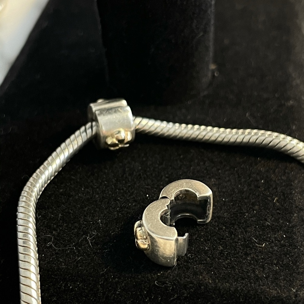 Pandora charm dividers